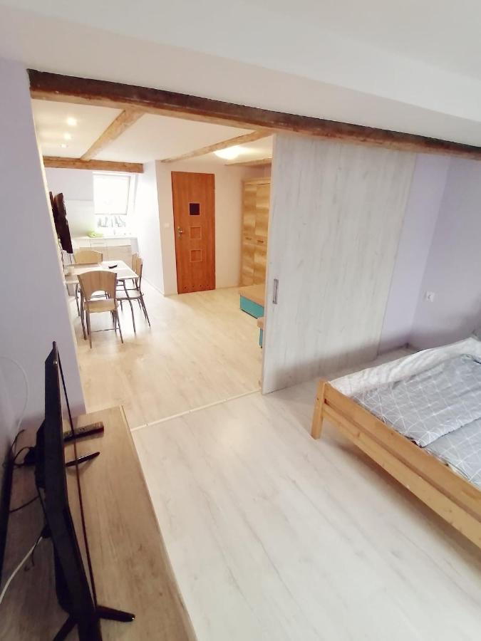 Apartamenty Wiktora Поляница-Здруй Экстерьер фото